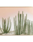 Organ Pipe Cactus Framed Canvas Wall Art - From Where - 