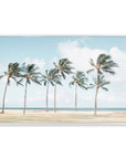 Palm Trees Framed Giclee Wall Art - From Where - 