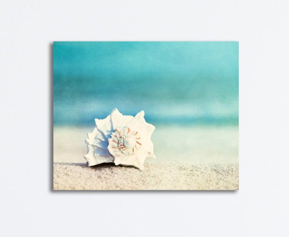 Paradise Seashell Canvas Wall Art - From Where - 