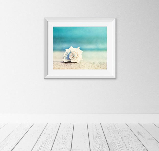 Paradise Seashell Canvas Wall Art - From Where - 