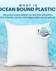 Pillowflex Plush Pillow Insert - From Where - 