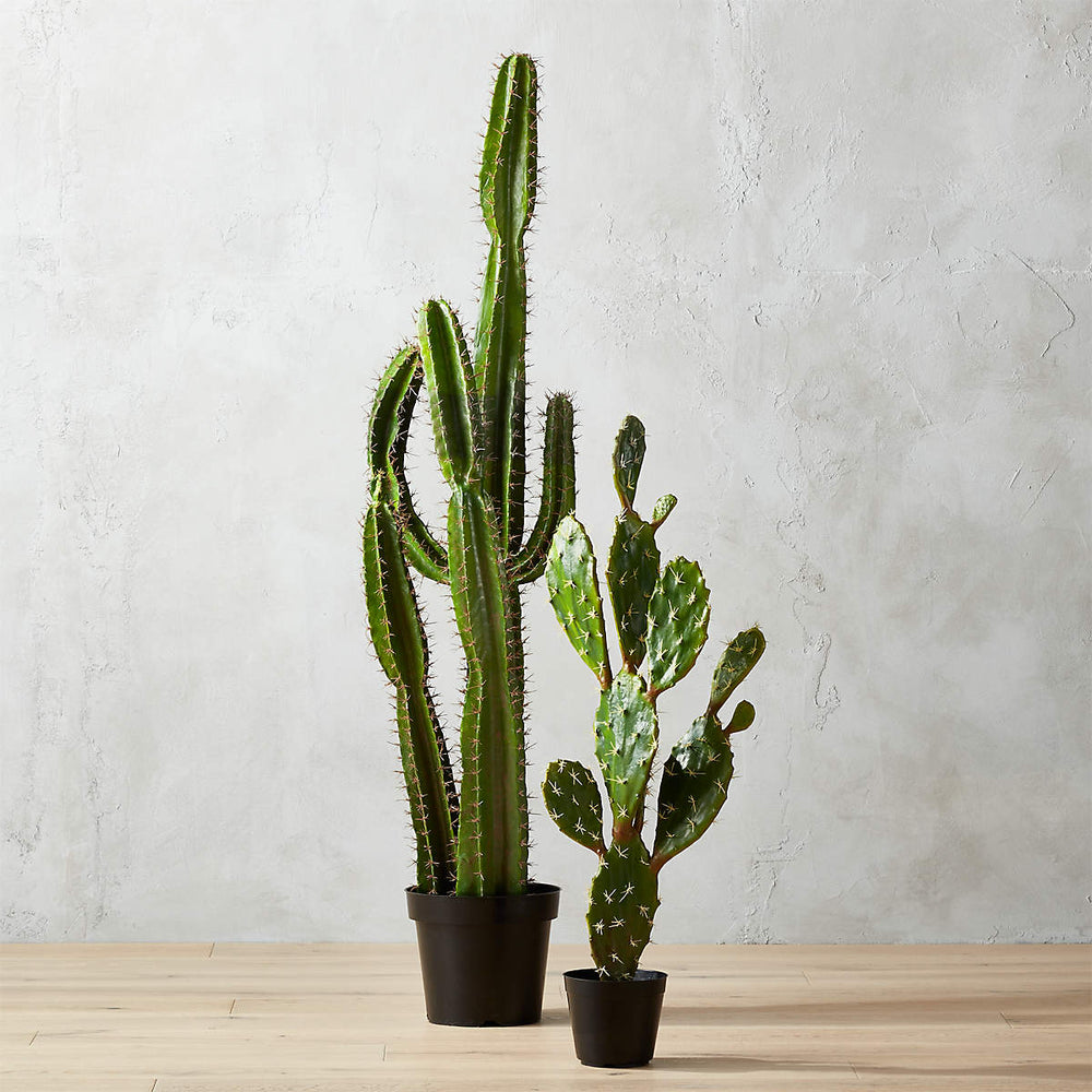 Potted Faux Cardón Cactus 5' - From Where -