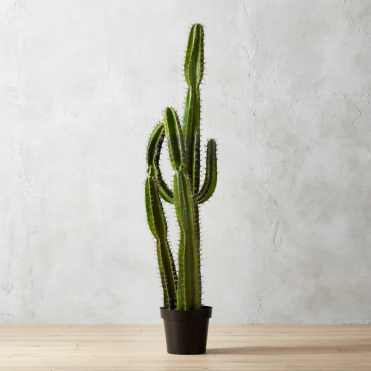 Potted Faux Cardón Cactus 5' - From Where - 