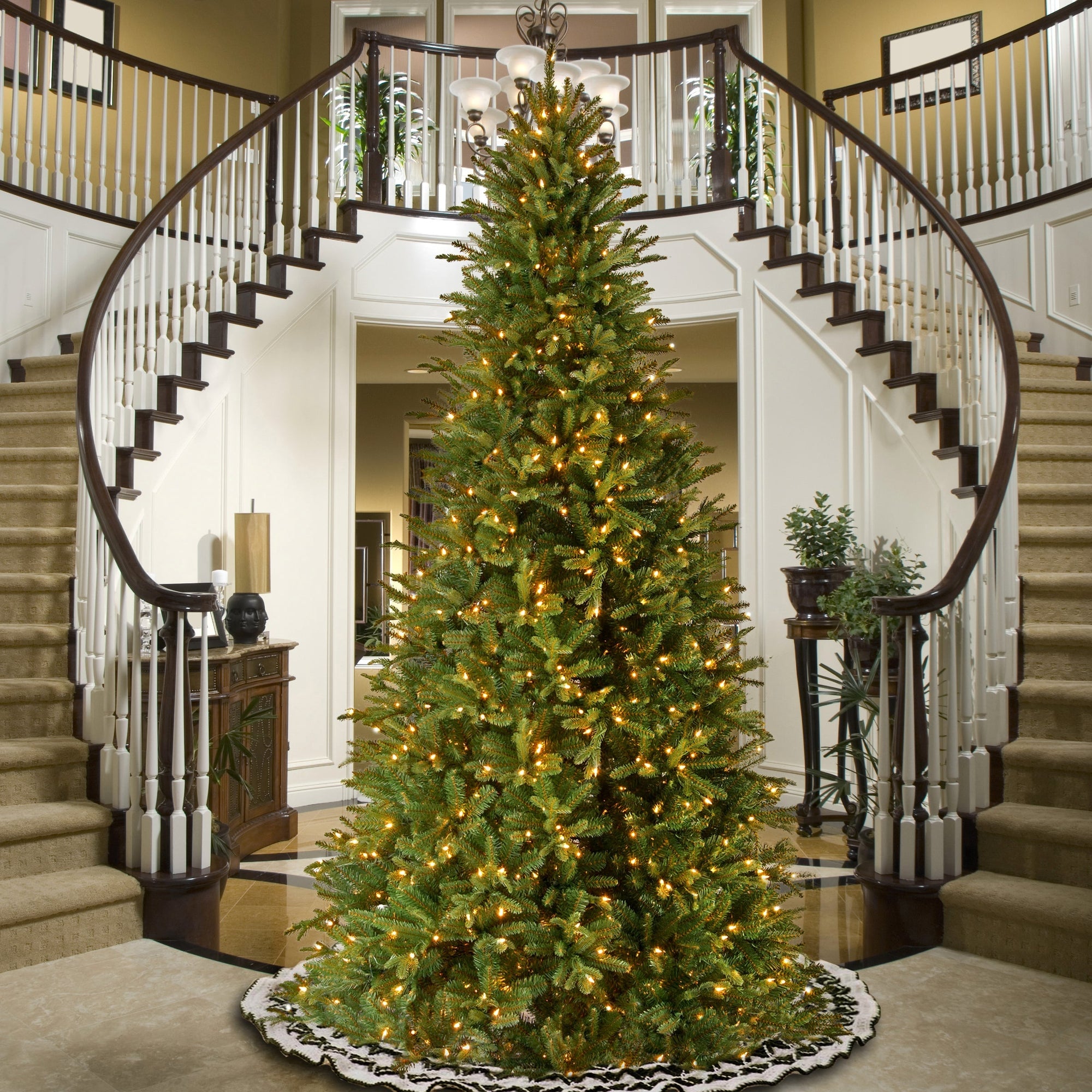 Pre - Lit Tiffany Fir Slim Tree - From Where - 
