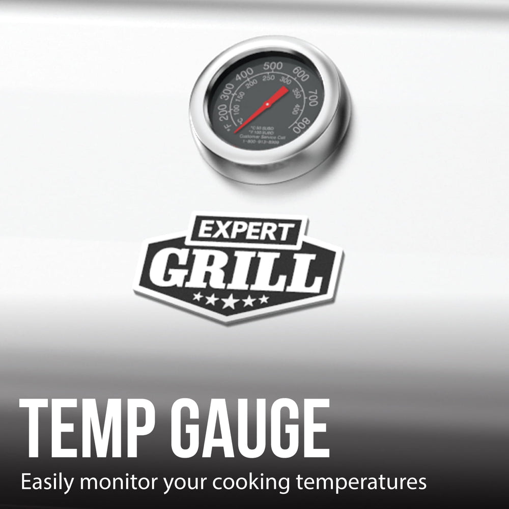 Propane Gas Expert Grill 5 Burner - From Where -