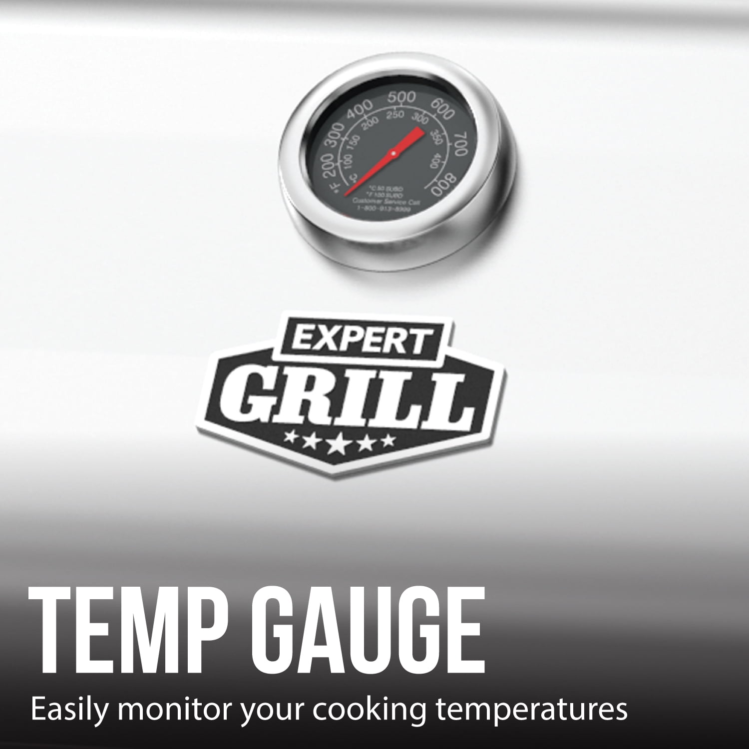 Propane Gas Expert Grill 5 Burner - From Where - 