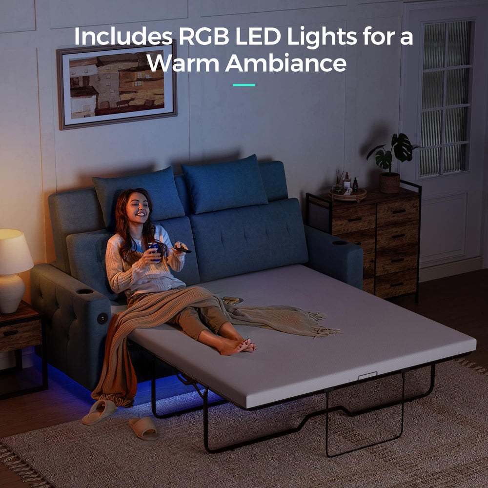 Queen Pull Out Sofa Bed - From Where - 