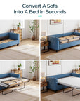 Queen Pull Out Sofa Bed - From Where - 