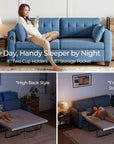 Queen Pull Out Sofa Bed - From Where - 