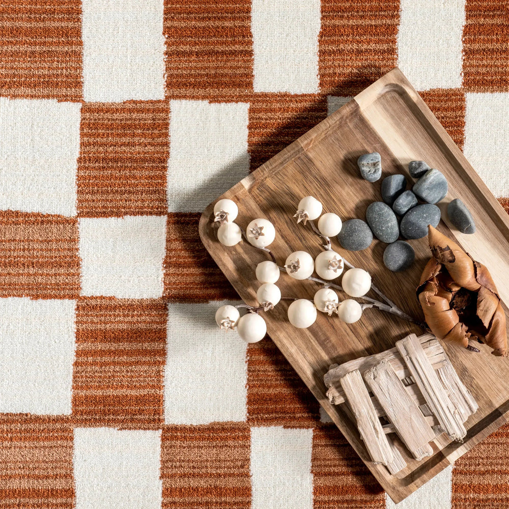 Rasali Checkered Box Rug - From Where Finds - 