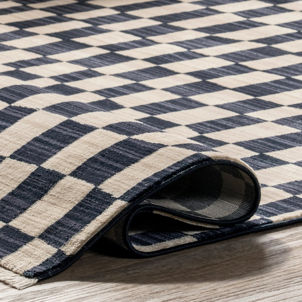 Rasali Checkered Box Rug - From Where Finds - 