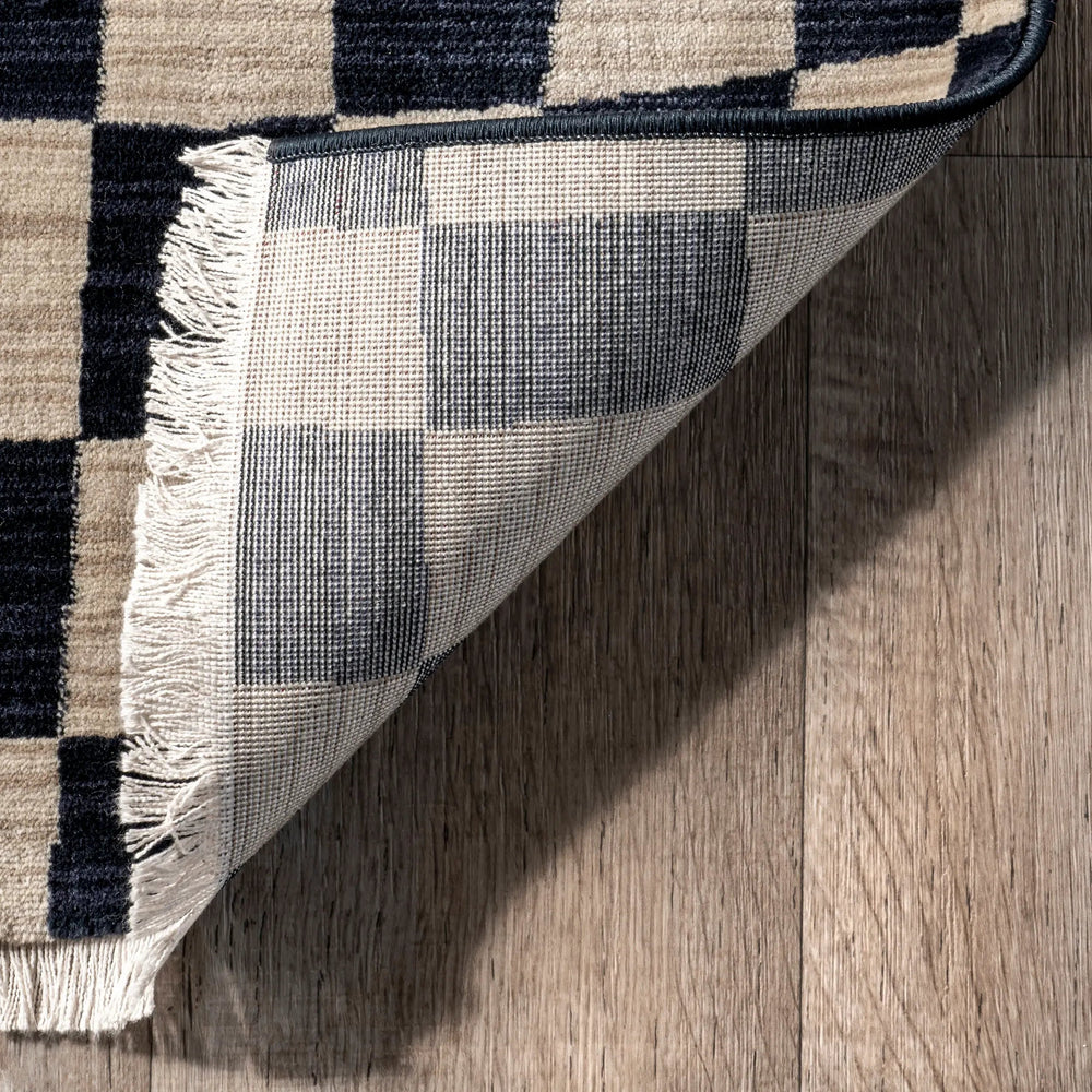 Rasali Checkered Box Rug - From Where Finds - 