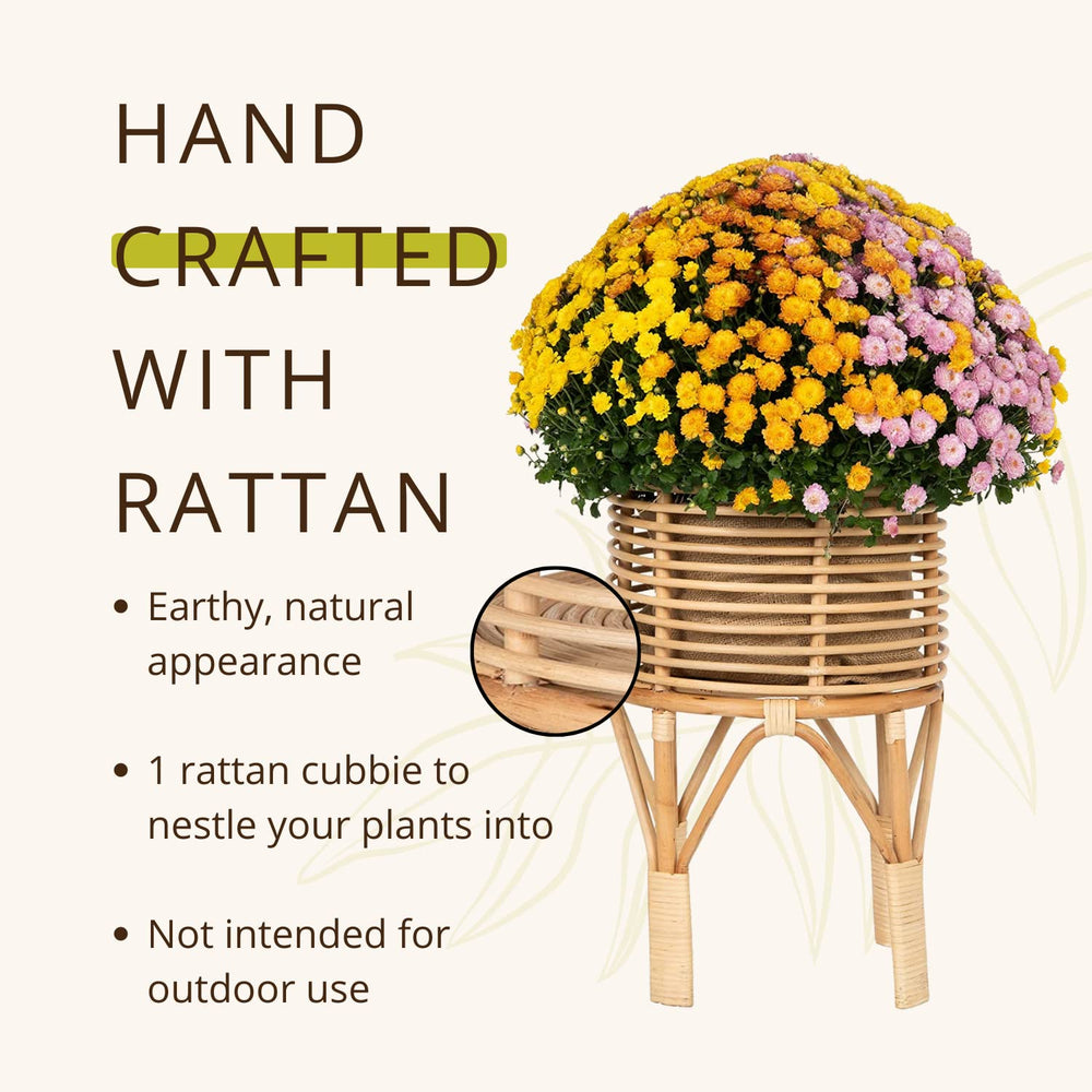 Rattan Indoor Plant Stand - From Where - 