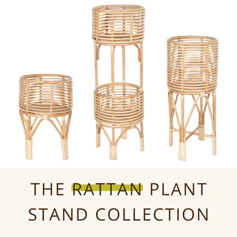 Rattan Indoor Plant Stand - From Where - 