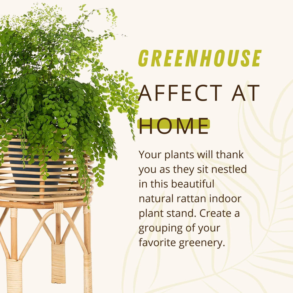 Rattan Indoor Plant Stand - From Where - 