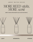 Reed Diffuser Set - From Where Finds - 