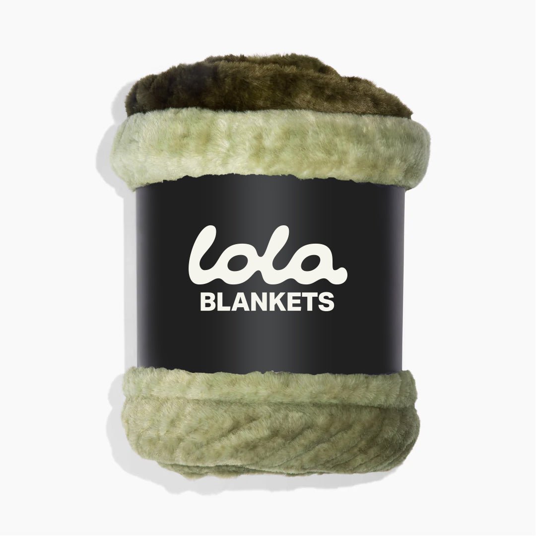 Retro Green Ombre Blanket - From Where Finds - 