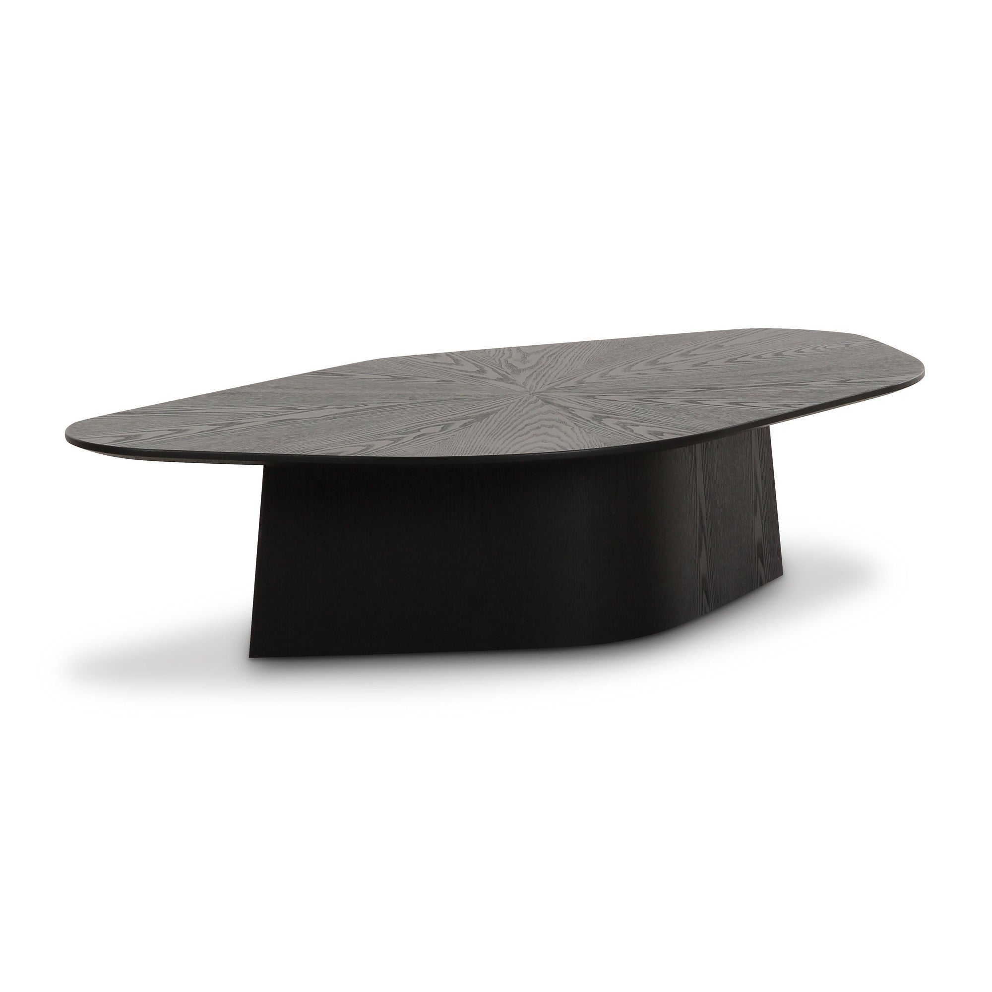 Roche 50" Ash Low Coffee Table - From Where Finds - 