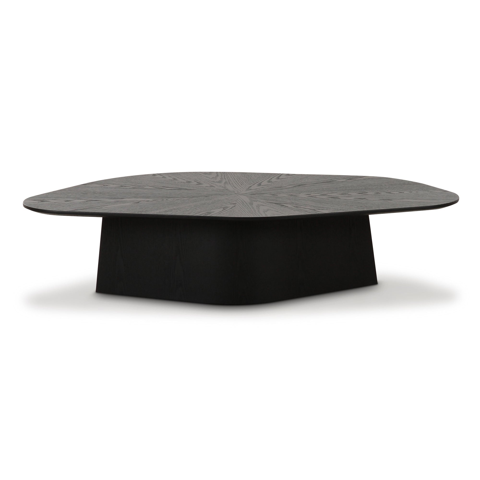 Roche 50" Ash Low Coffee Table - From Where Finds - 