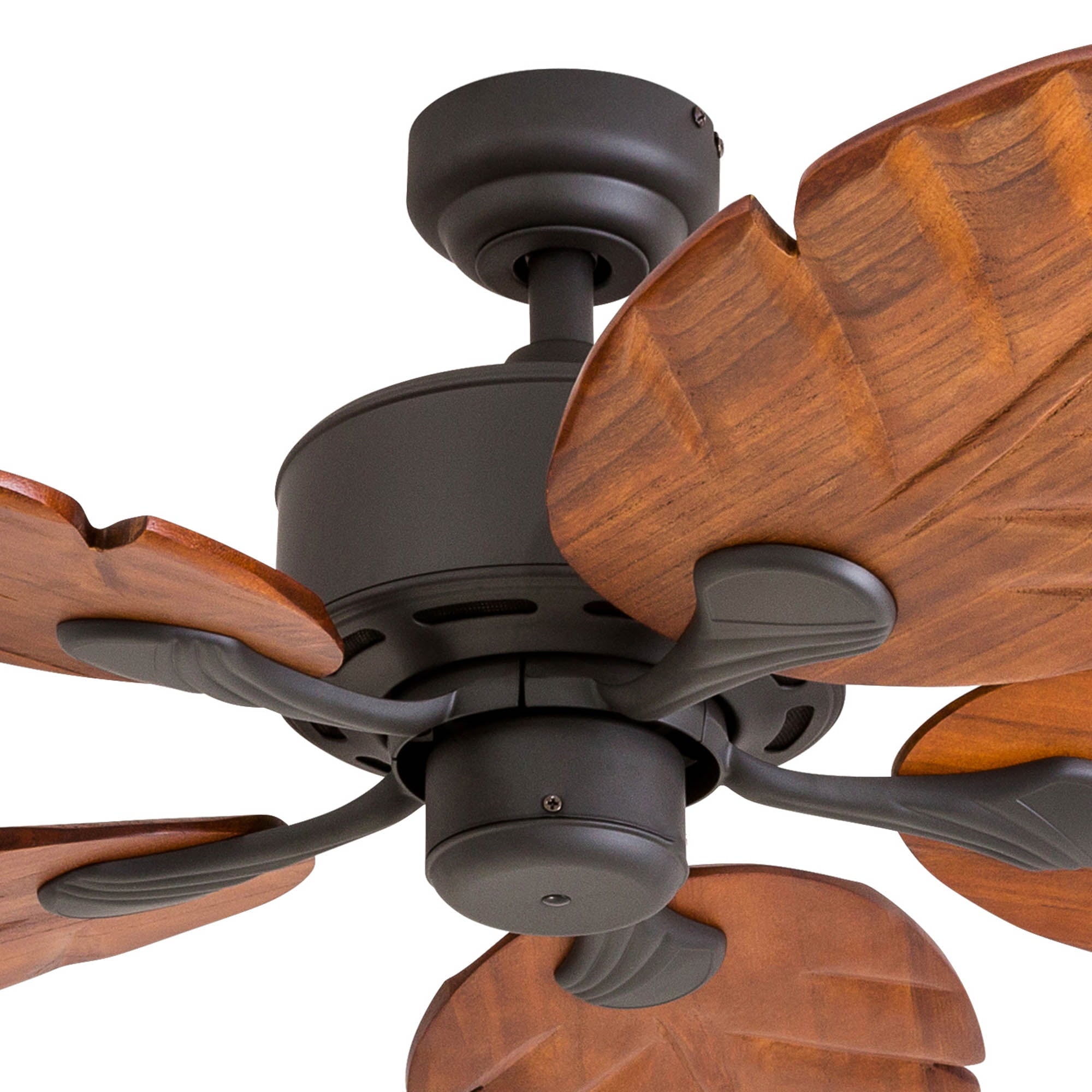 Royal Palm 52" Tropical Ceiling Fan - From Where - 