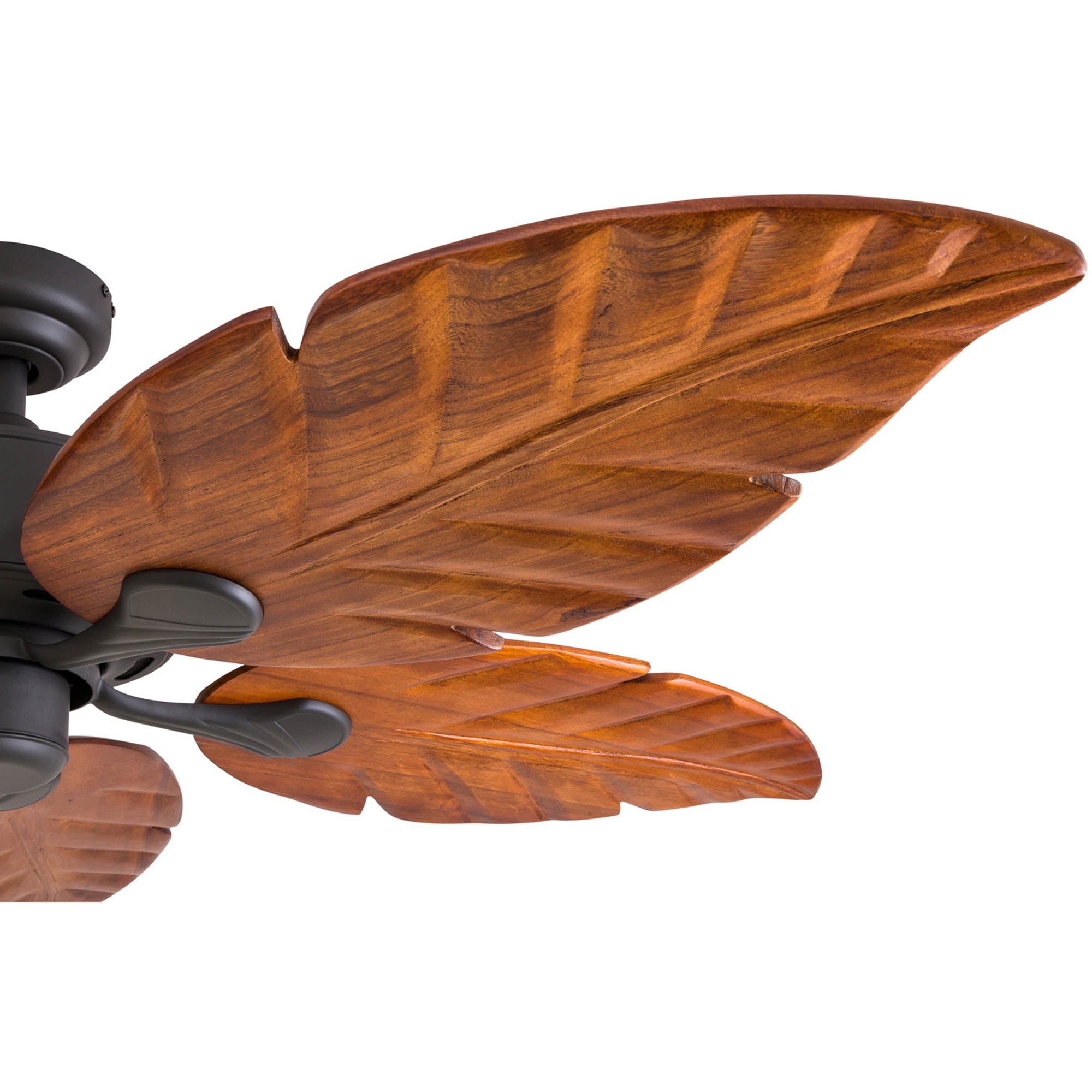 Royal Palm 52" Tropical Ceiling Fan - From Where - 
