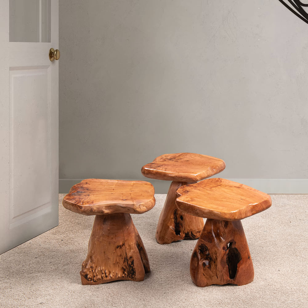 Rustic Cedar Stump End Table - From Where - 