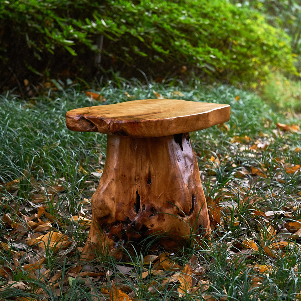 Rustic Cedar Stump End Table - From Where - 