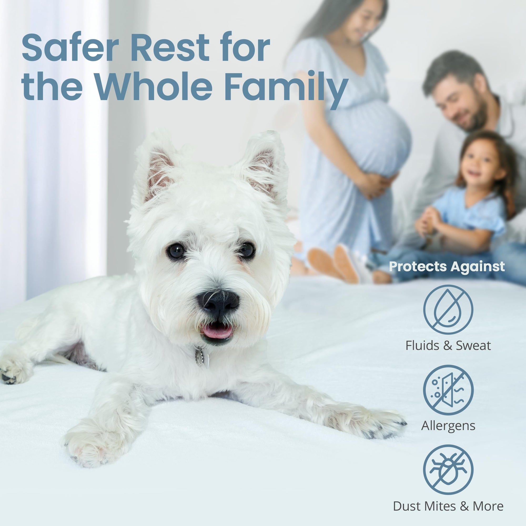 SafeRest Waterproof Queen Size Mattress Protector - From Where - 