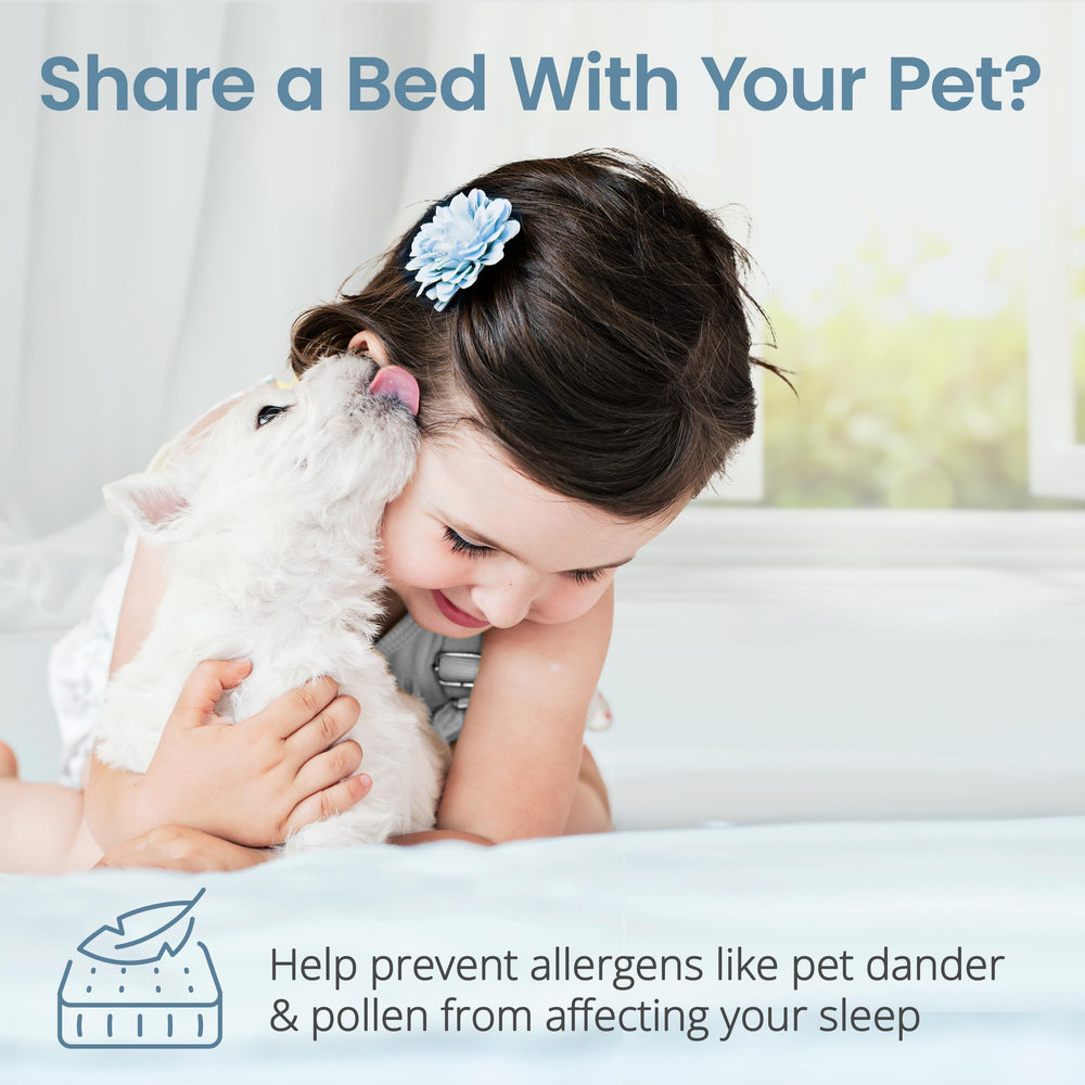 SafeRest Waterproof Queen Size Mattress Protector - From Where - 