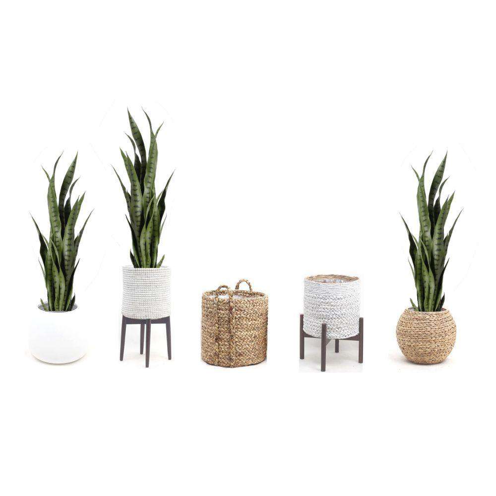 Sansevieria Dark Green 35 Artificial Potted Plant - From Where - 