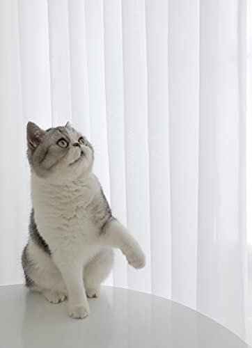 Sheer White Curtains 84 Inches - From Where - 