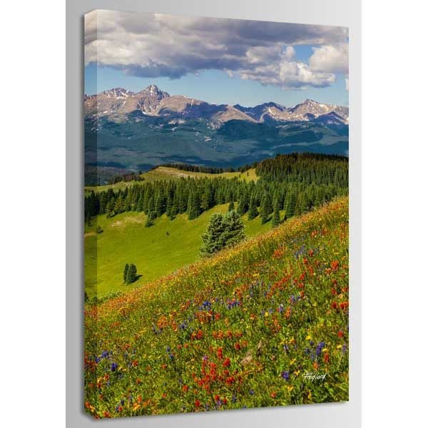Shrine Pass Holy Cross Portrait - From Where - 