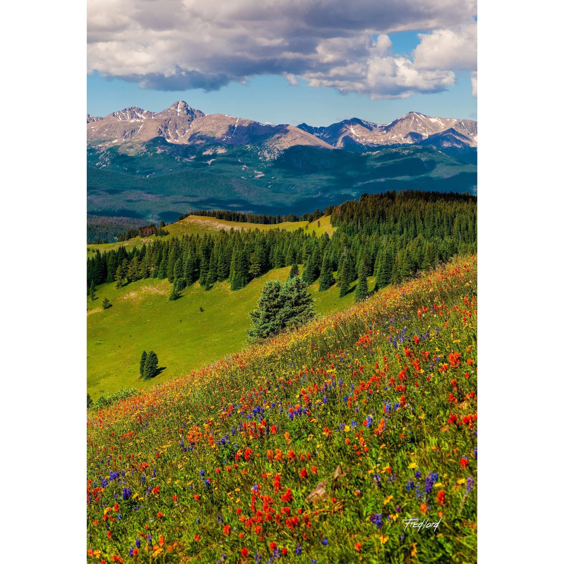 Shrine Pass Holy Cross Portrait - From Where - 