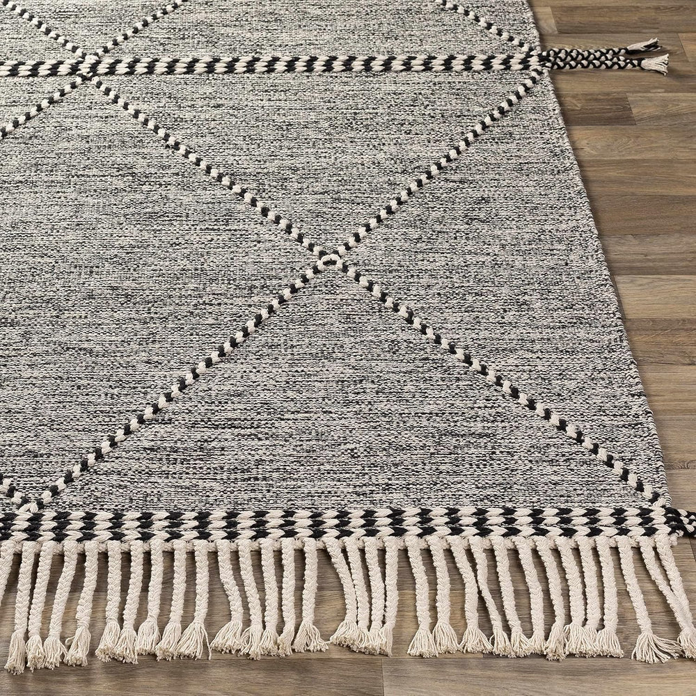 Spottswood Bohemian Transitional Area Rug - From Where - 
