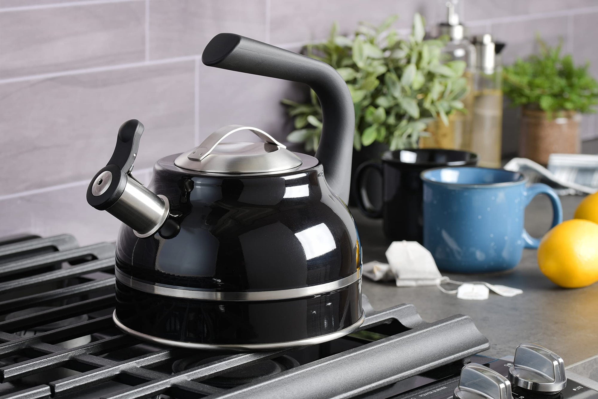 Stainless Steel Tea Kettle w/Encapsulated Base & Bakelite Handle - From Where - 