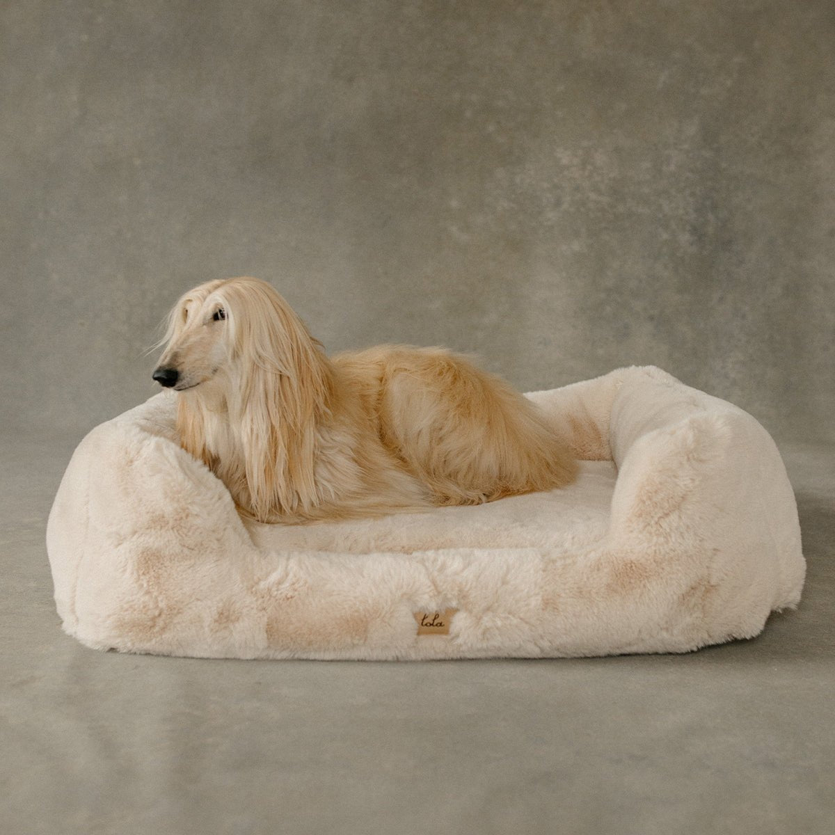 The Lola Pet Bed | Bondi Beige - From Where Finds - 