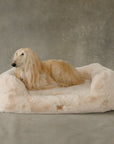 The Lola Pet Bed | Bondi Beige - From Where Finds - 