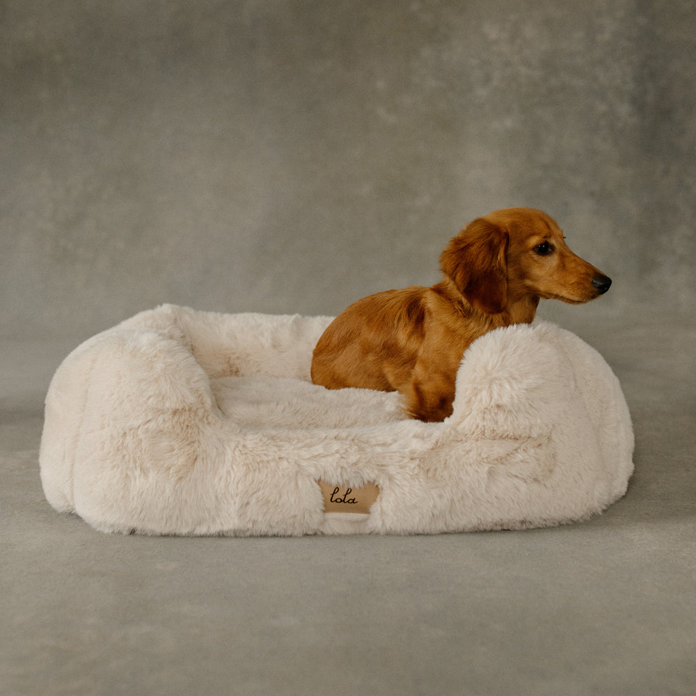 The Lola Pet Bed | Bondi Beige - From Where Finds - 