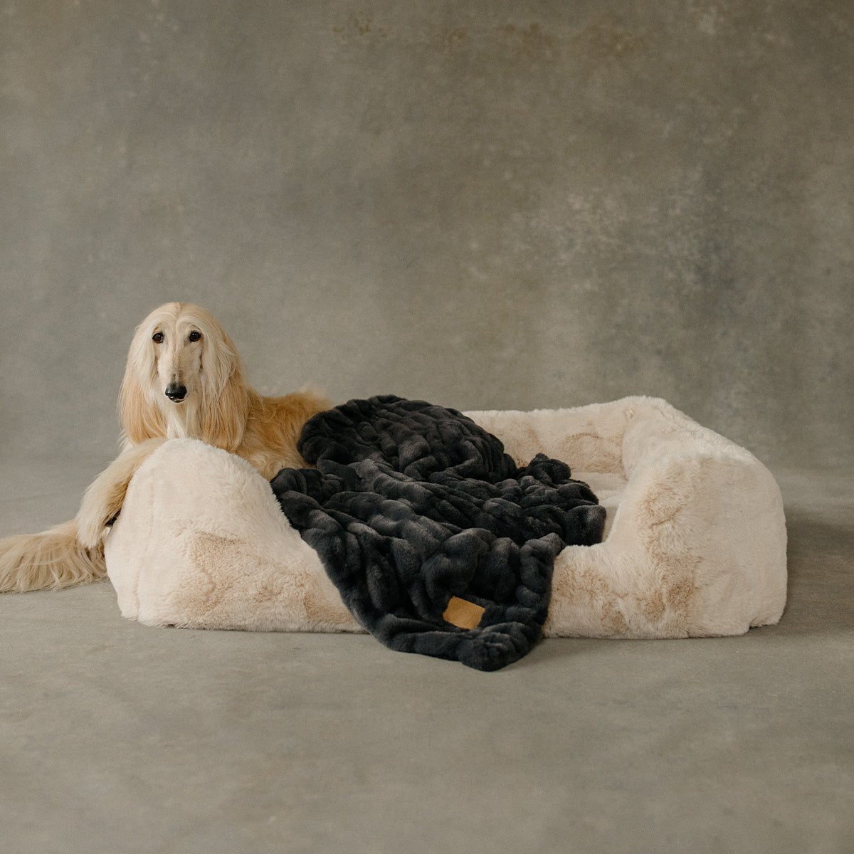 The Lola Pet Bed | Bondi Beige - From Where Finds - 