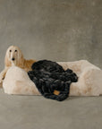 The Lola Pet Bed | Bondi Beige - From Where Finds - 