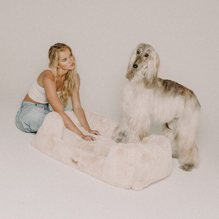 The Lola Pet Bed | Bondi Beige - From Where Finds -