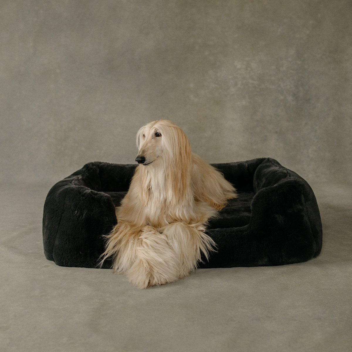 The Lola Pet Bed | Charcoal Grey - From Where Finds - 