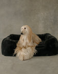 The Lola Pet Bed | Charcoal Grey - From Where Finds - 