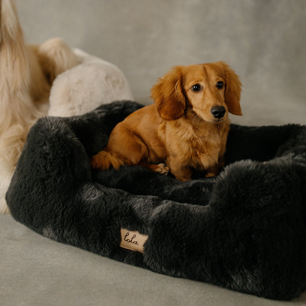 The Lola Pet Bed | Charcoal Grey - From Where Finds - 