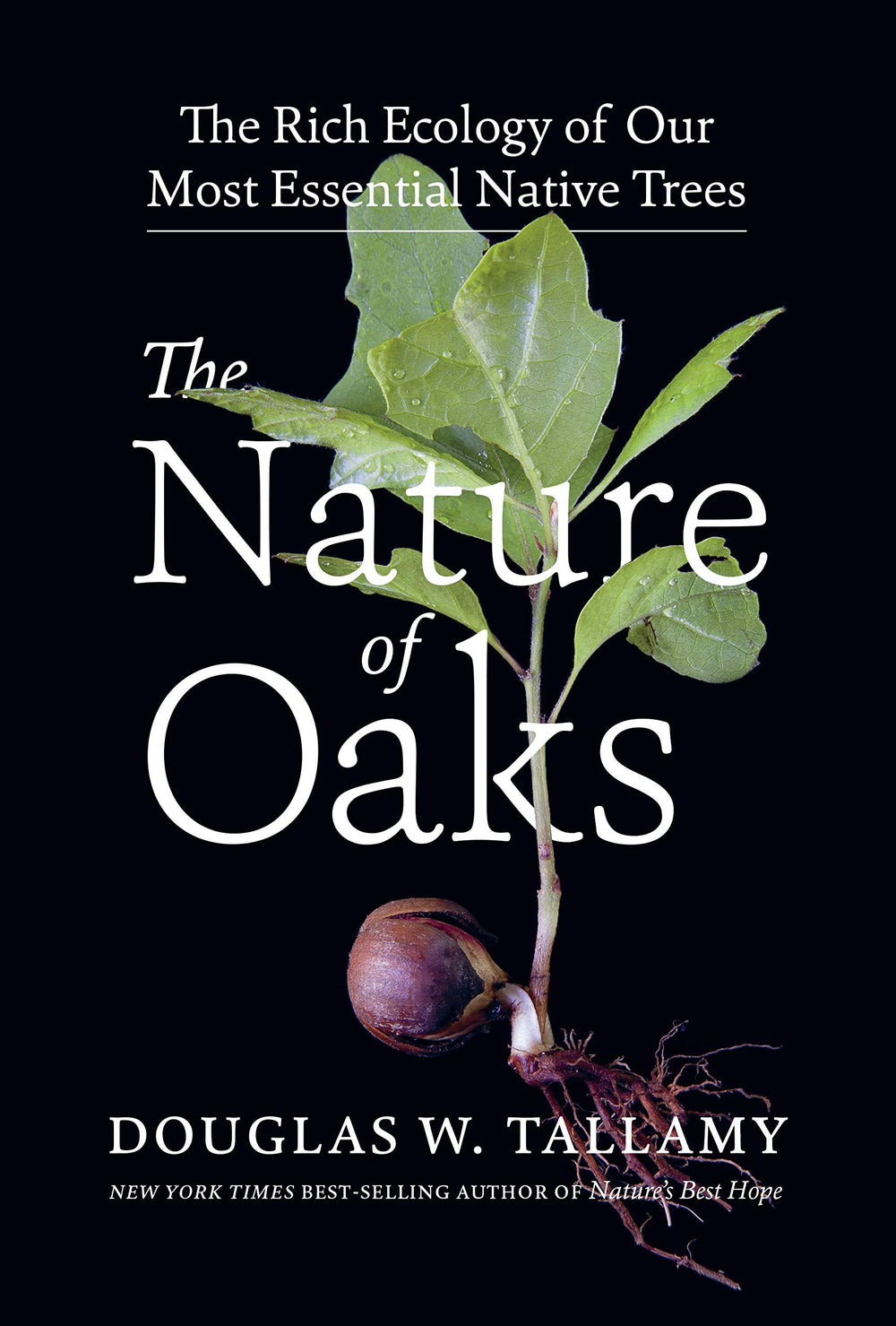 The Nature of Oaks: The Rich Ecology of Our Most Essential Native Trees - From Where - 