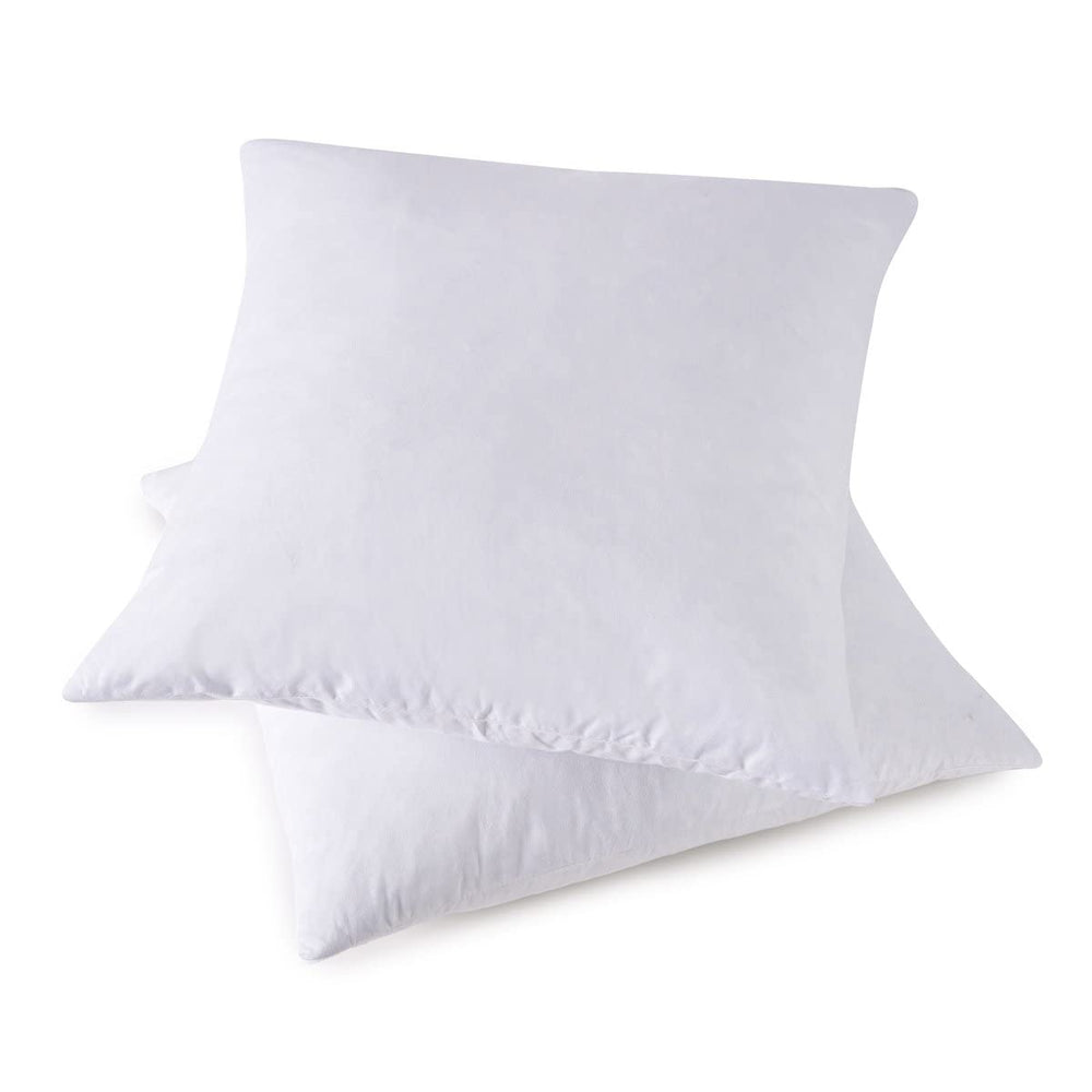 Throw Pillow Inserts (Set of 2) - From Where - 