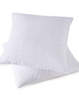 Throw Pillow Inserts (Set of 2) - From Where - 