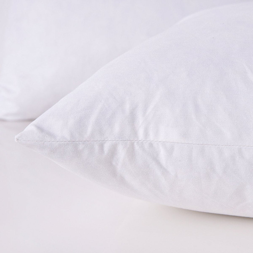 Throw Pillow Inserts (Set of 2) - From Where - 