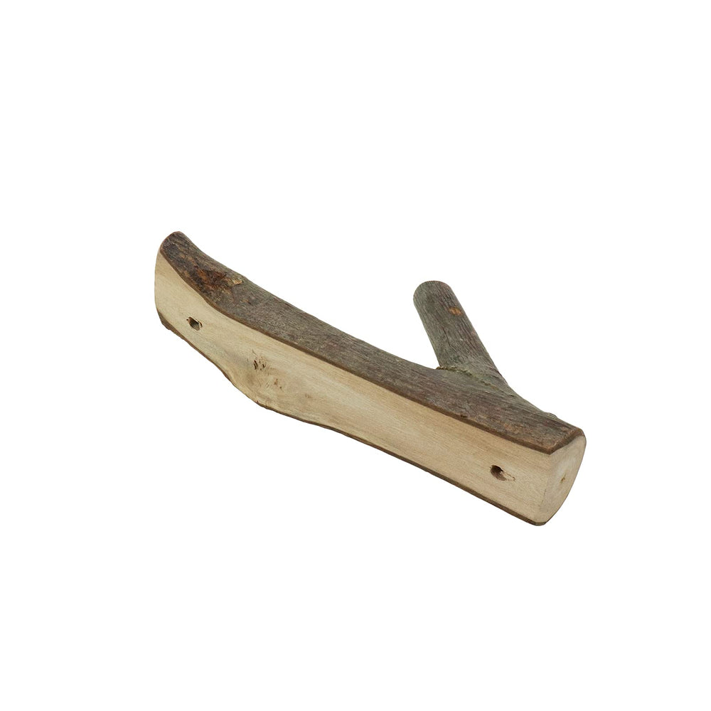 Tree Branch Wall Hook (Set of 8) - From Where - 