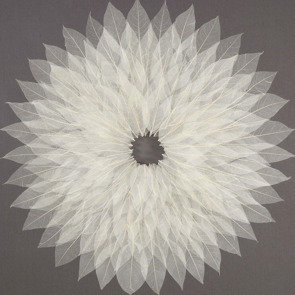 Tree Narrow Leaves Framed Wall Art - From Where - 